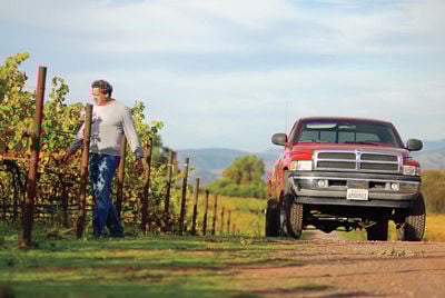 Off the Beaten Vine in the Wine Country